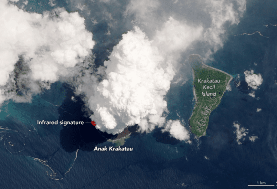 Anak Krakatau: la grande eruzione del vulcano figlio di Krakatoa vista dallo spazio (foto)