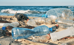 Biodegradare la plastica: batteri sensibili al calore ci daranno una mano