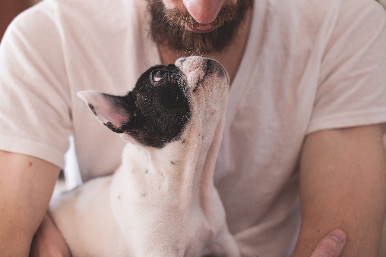 I cani possono davvero imparare velocemente i nomi di alcuni oggetti