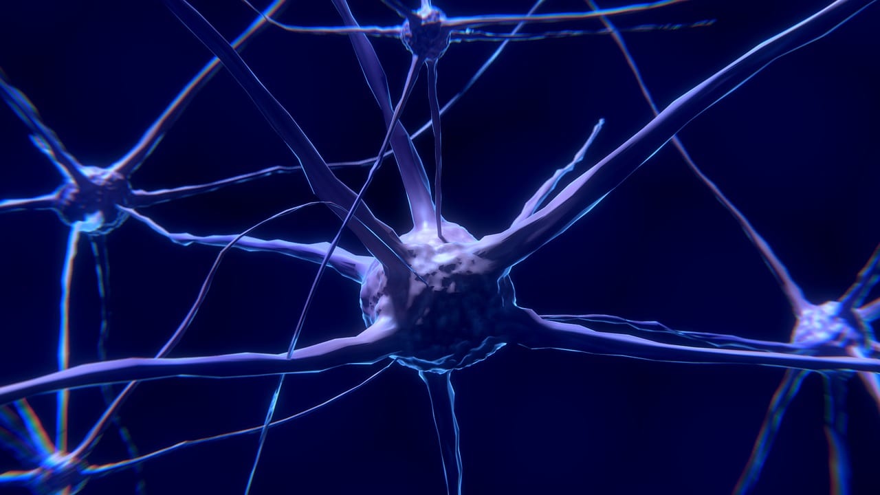 Neuroattività cerebrale: ecco come viene "guardata" al microscopio
