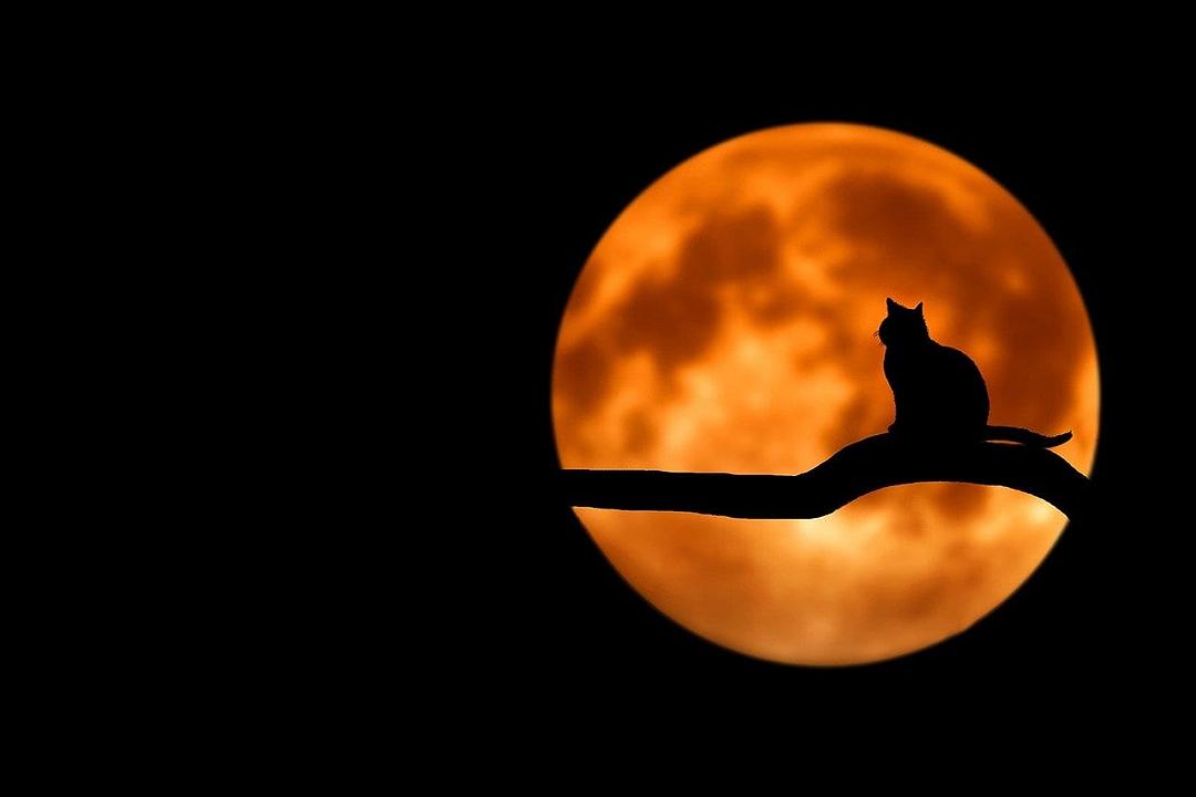 Superluna di aprile 2020 stasera e domani, come guardarla (anche in streaming)