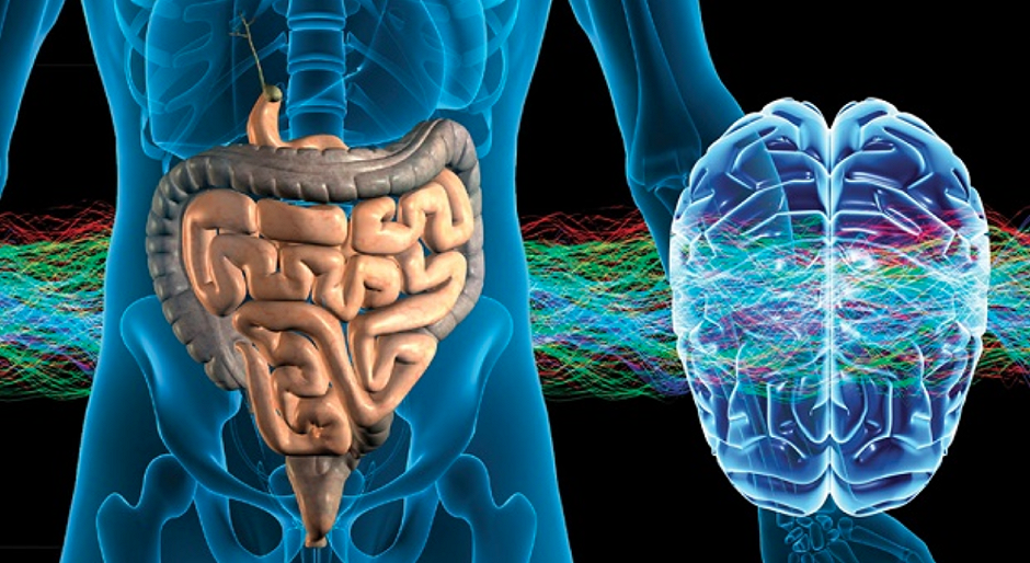 Psicobioma: i batteri intestinali possono alterare il modo in cui pensi