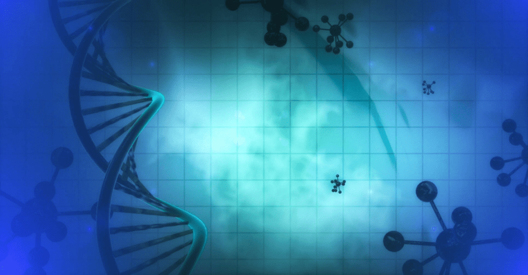 Simmetrie nel DNA spiegate dalla fisica