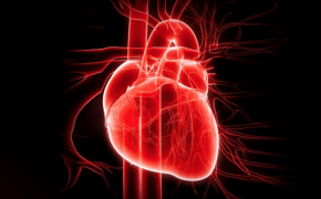 iHeart: curare il cuore con la matematica