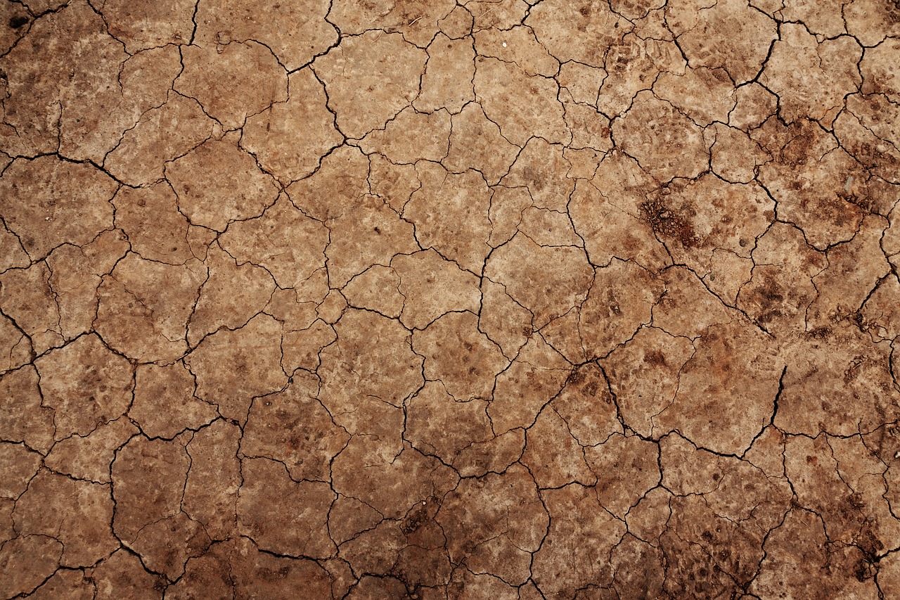 Riscaldamento globale: tra 50 anni la situazione sarà critica