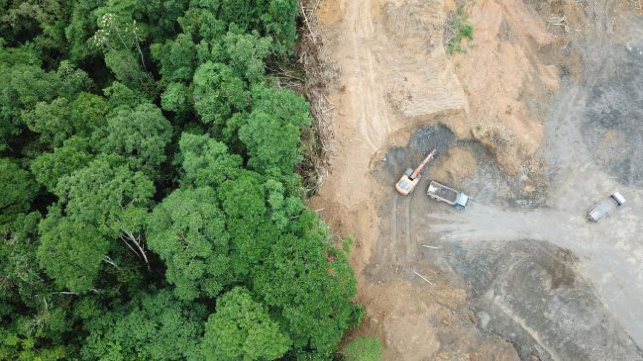 Brasile: non si placa la deforestazione in Amazzonia