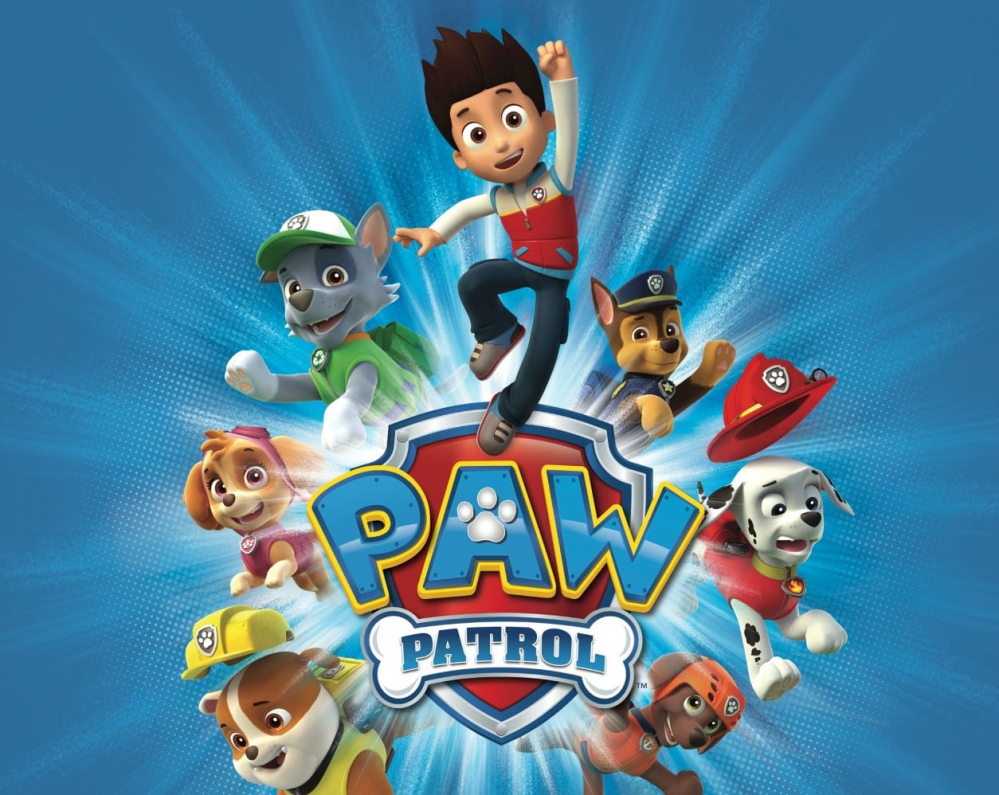 100% Paw Patrol