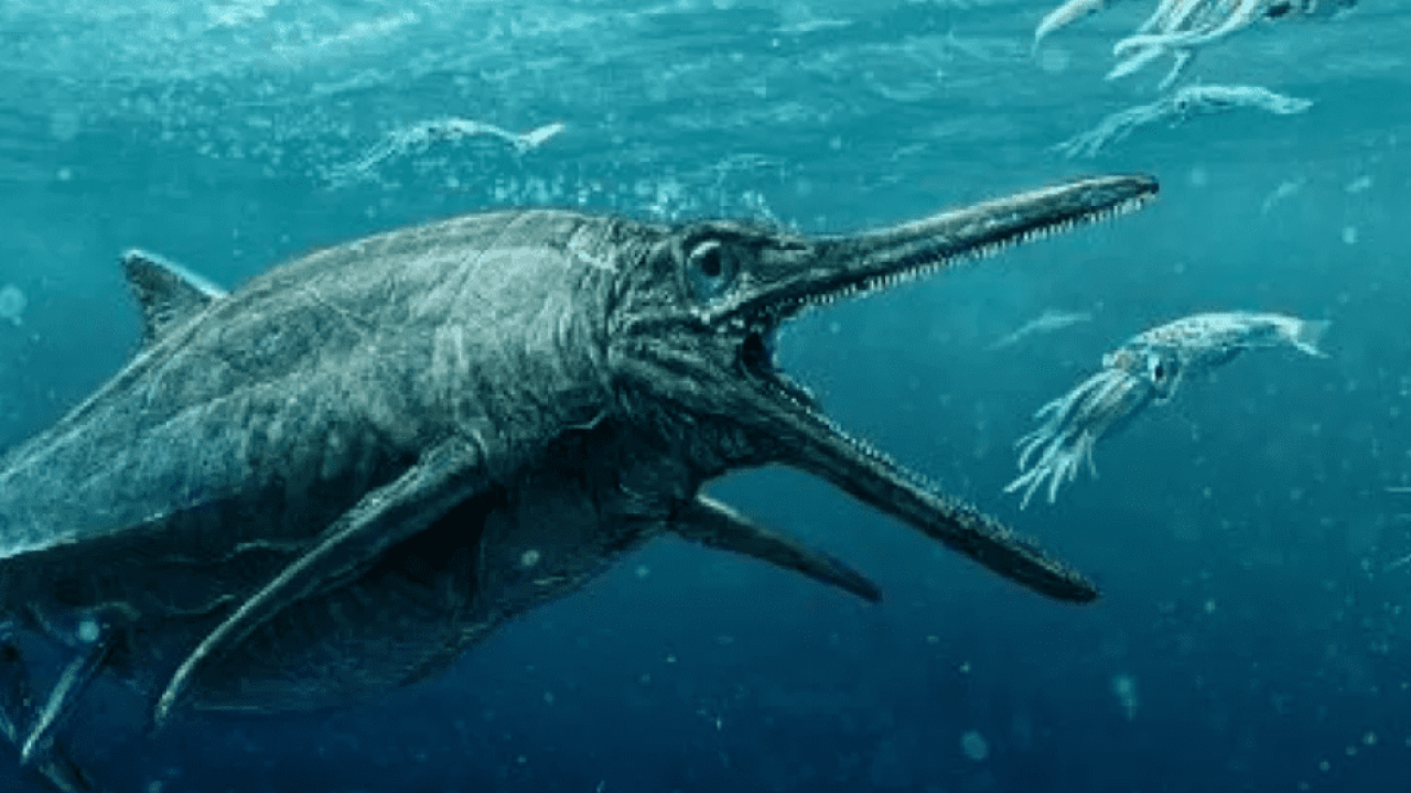 Fossile di Ittiosauro incinta di 246 milioni di anni fa