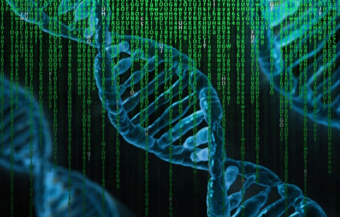 Flipon: l'evoluzione del genoma diventa digitale