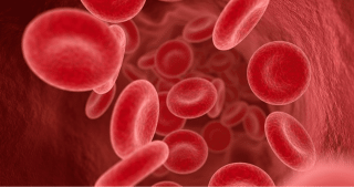 Globuli rossi artificiali (forse) migliori di quelli veri