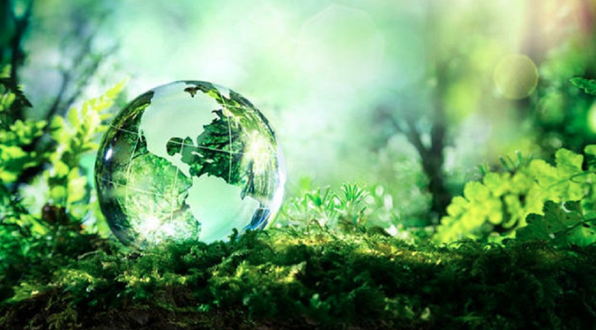 Giornata mondiale dell’ambiente 2020: focus sulla biodiversità