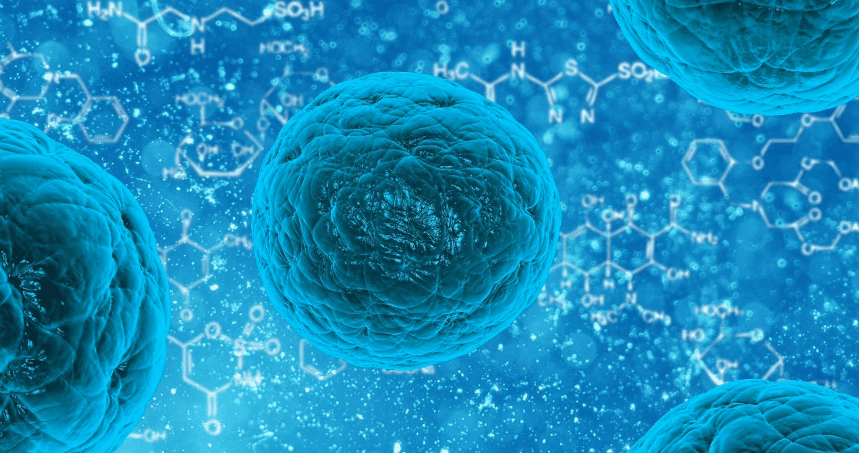 CLCF1: una superproteina per combattere il cancro e rigenerare i neuroni