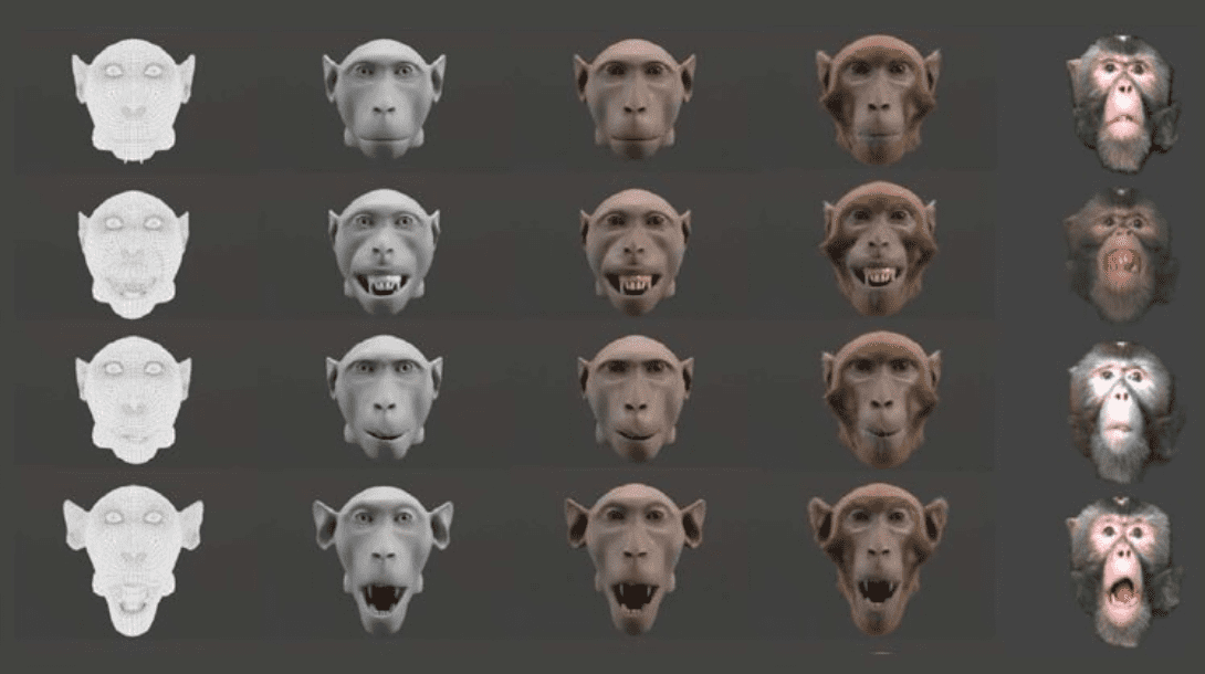 Zona perturbante: le scimmie (come gli uomini) preferiscono animazioni realistiche