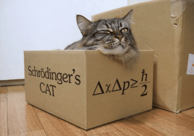Gatto di Schrödinger