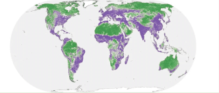 Metà della Terra può ancora essere salvata dai danni umani