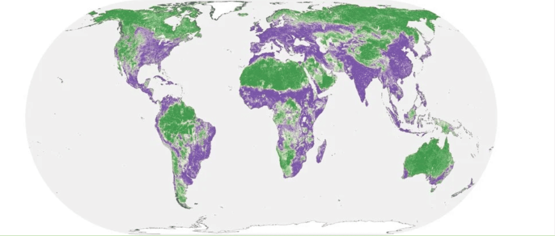 Metà della Terra può ancora essere salvata dai danni umani