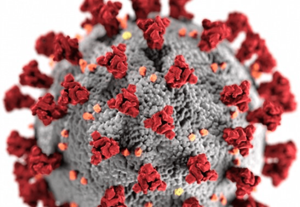 Coronavirus: dalle fogne di Milano e Torino la prova inconfutabile che era in Italia già da dicembre