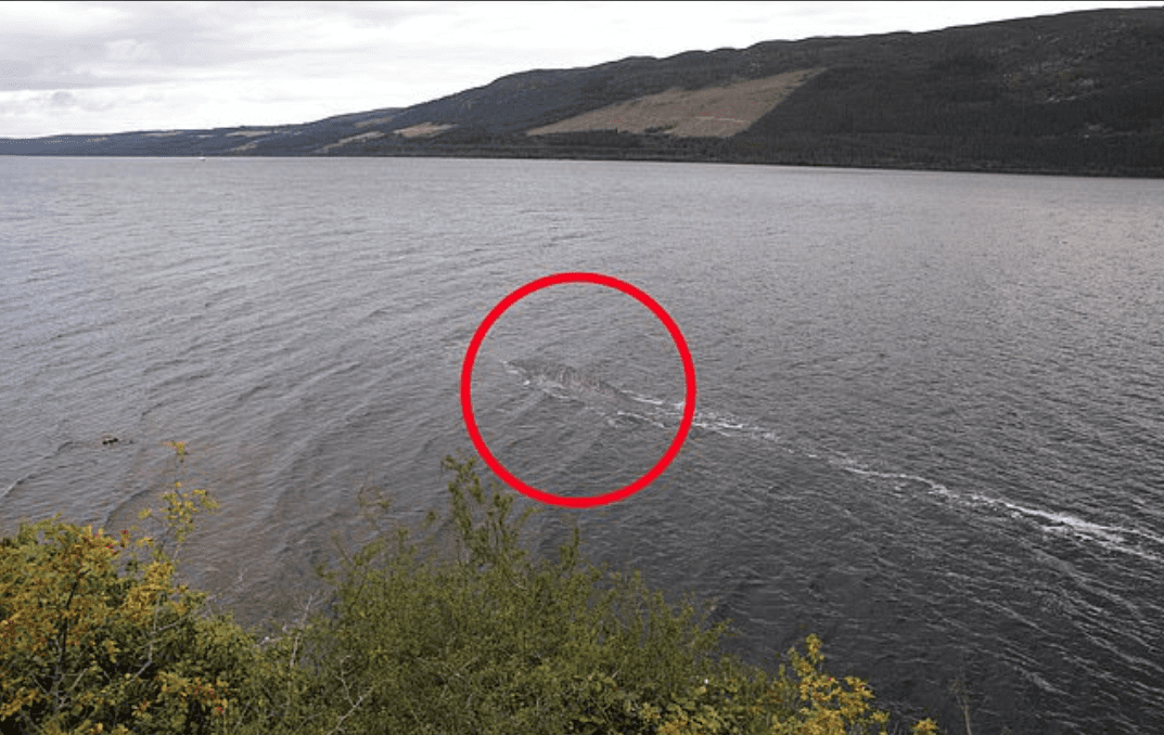 Mostro di Loch Ness: in rete nuova foto, l'autore: "forse è un pesce gatto"