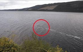 Mostro di Loch Ness: in rete nuova foto, l’autore: “forse è un pesce gatto”