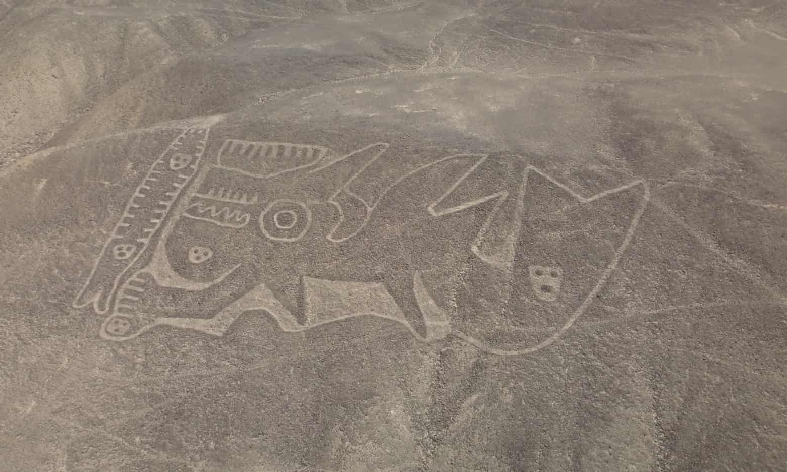 Geoglifi: scoperta una nuova figura grazie ai droni