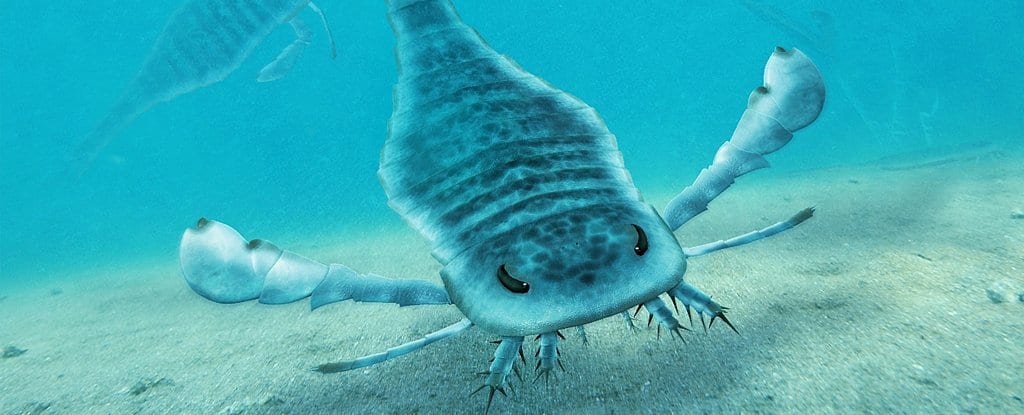 Scorpioni giganti dominavano i mari dell'Australia