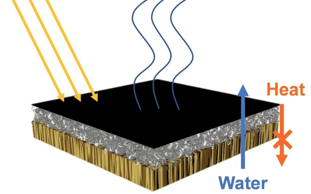 Purificare l’acqua con legno, batteri e sole