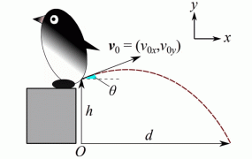 Quanta pressione serve ai pinguini per sparare le loro feci lontano dal nido?