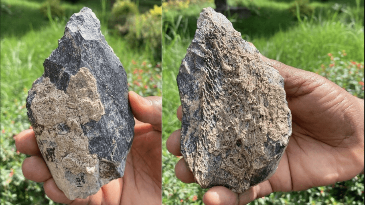 Accetta di Homo erectus trovata in Africa