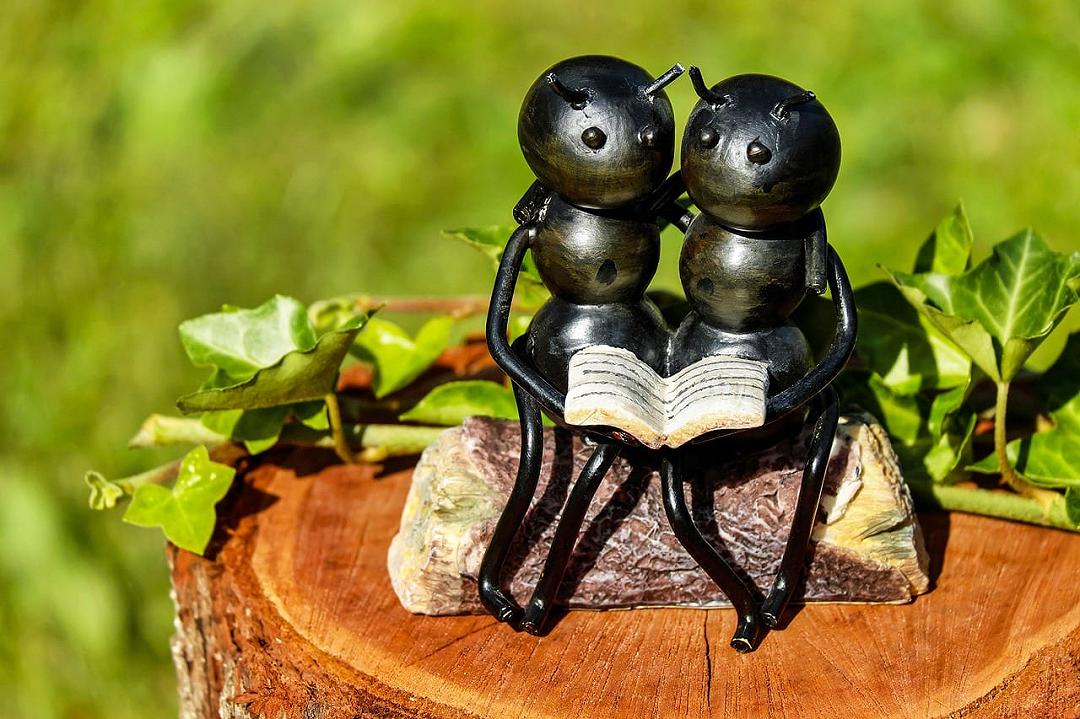 Robot che comunicano attraverso feromoni grazie a un sistema ispirato agli insetti