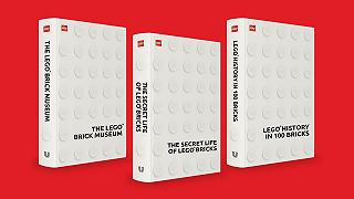 Un libro per gli AFOL, LEGO Ideas lancia una nuova votazione