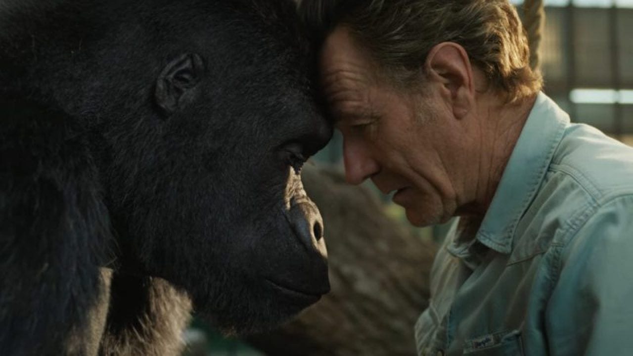 L’Unico e Insuperabile Ivan, i Protagonisti si Raccontano