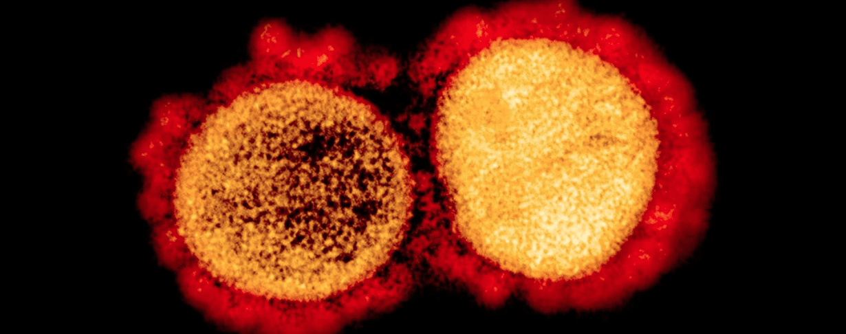 coronavirus