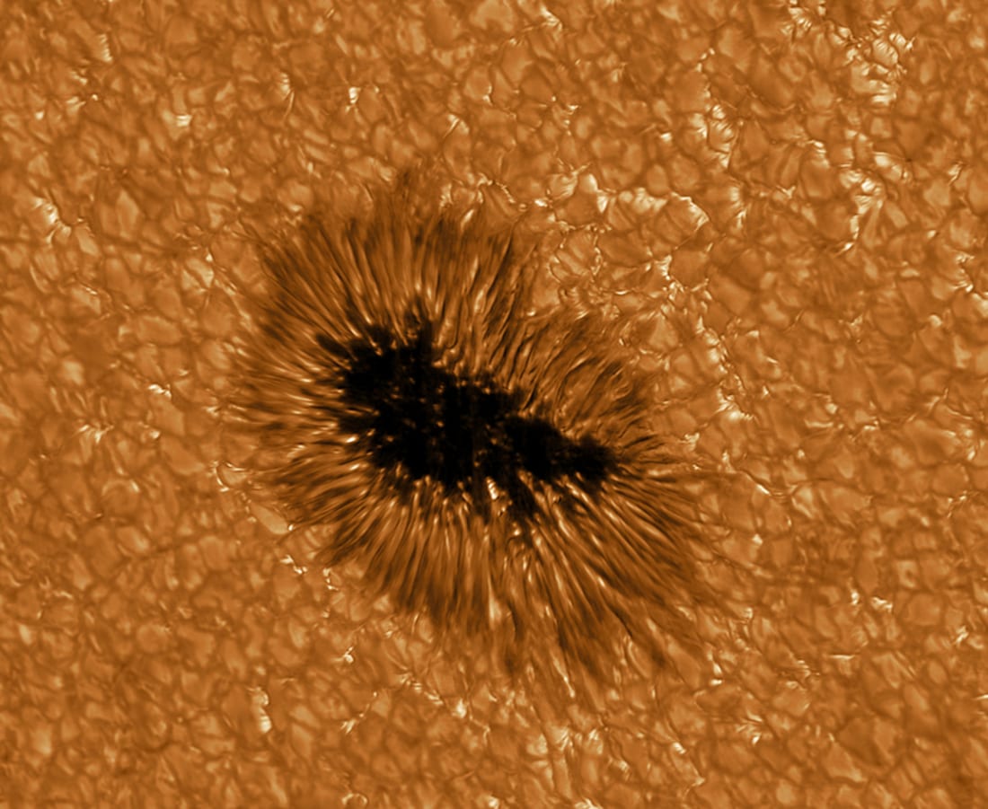 Macchie solari: le immagini ad alta definizione del telescopio GREGOR
