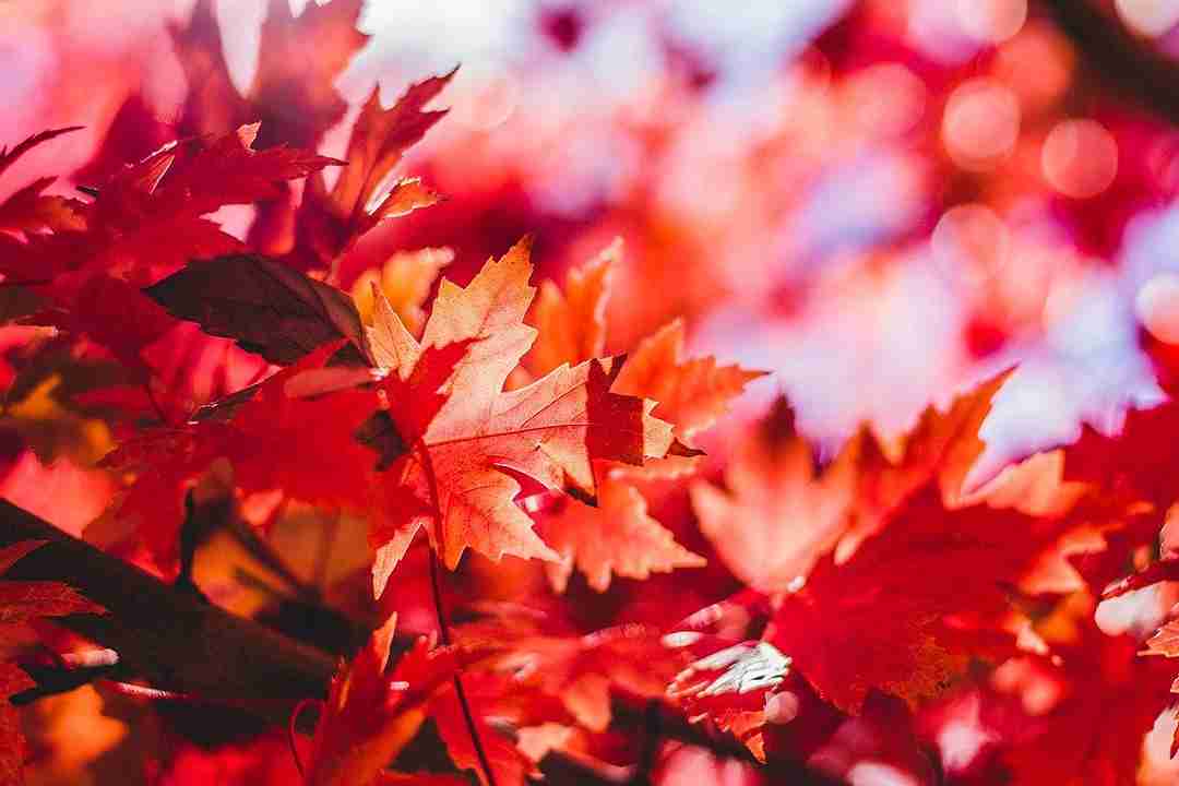 Cielo di settembre