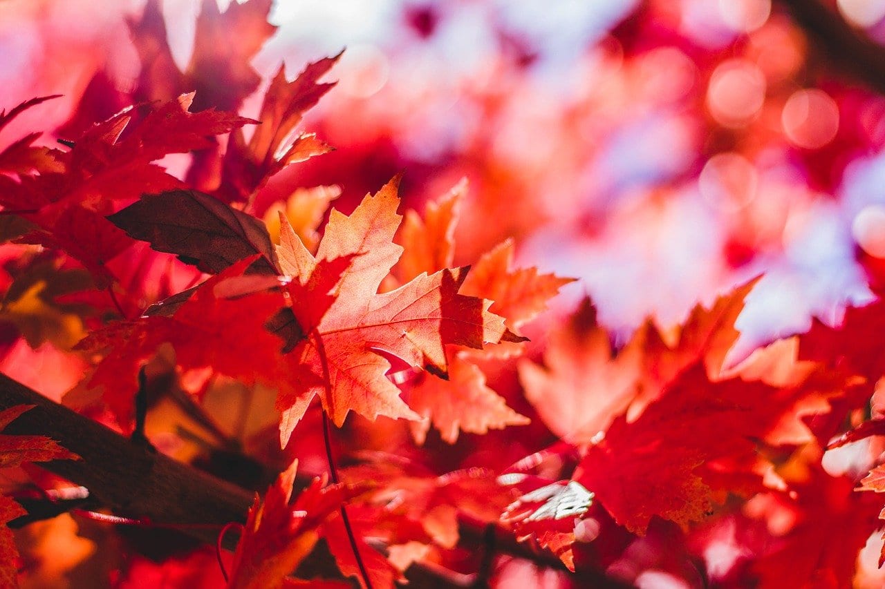Cielo di settembre: equinozio d’autunno e Marte sempre più luminoso