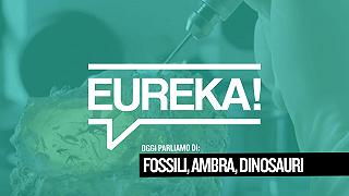 Eureka! 02 – Ambra e dinosauri tra finzione e realtà