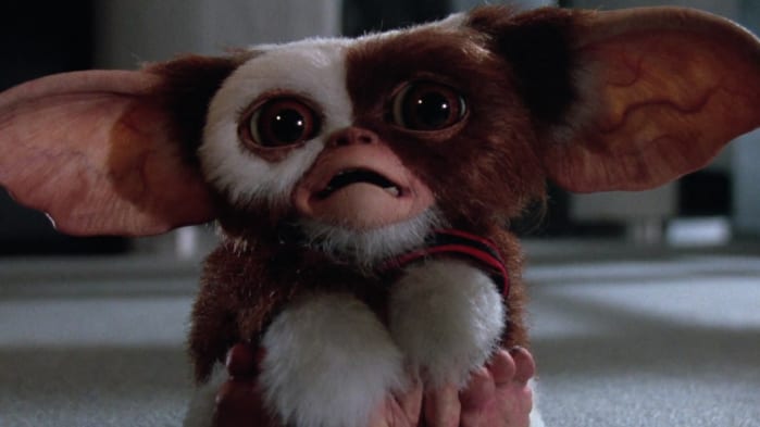 Gremlins, 15 migliori horror Netflix