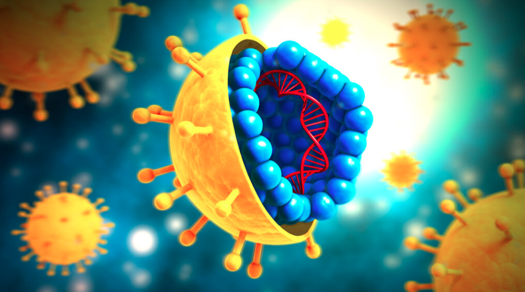 Nobel 2020: premiata la scoperta del virus dell'epatite C