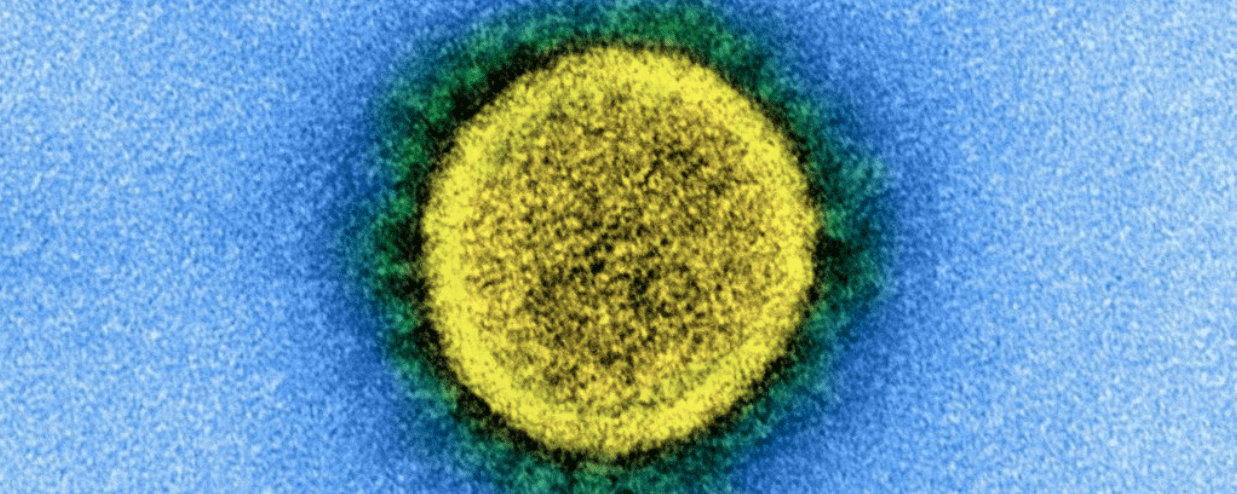 Coronavirus: perdita rapida degli anticorpi negli asintomatici