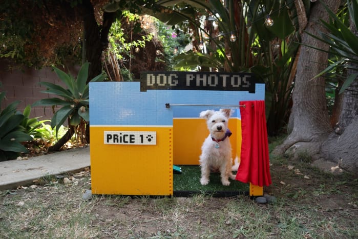 LEGO selfie per i cani