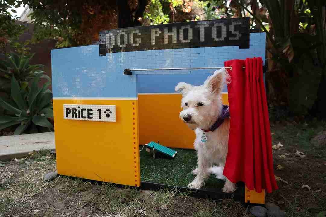 LEGO selfie per i cani