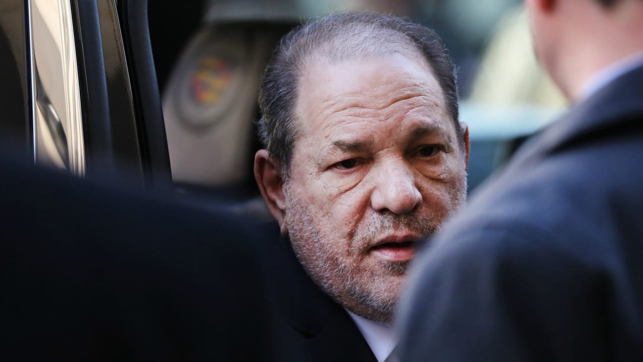 Caso Harvey Weinstein: Miriam Haley ha intentato una causa contro di lui