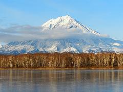 Kamchatka: si indaga sulla causa della morte di massa di creature marine