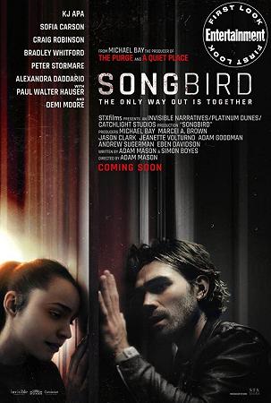 songbird