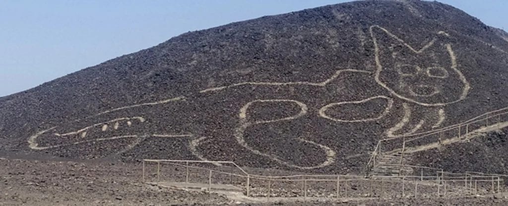 Nazca: rinvenuto un nuovo geoglifo che raffigura un gatto