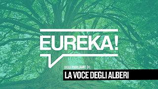 Eureka! 07 – La voce degli alberi