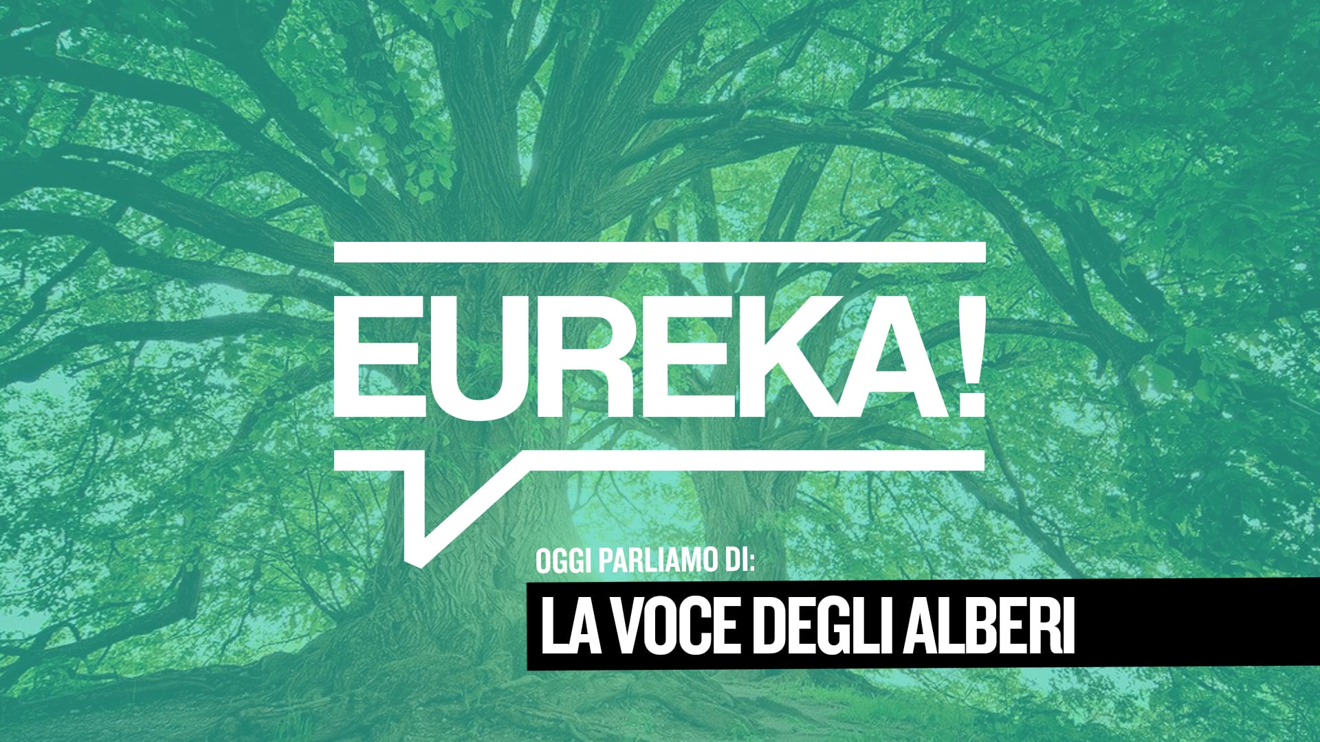 Eureka! 07 – La voce degli alberi