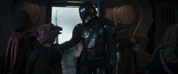 The Mandalorian and Frog Lady