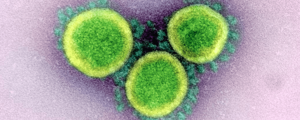 Coronavirus: scoperto il gene nascosto