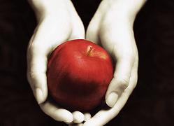 Twilight: Stephenie Meyer scriverà altri due libri della saga